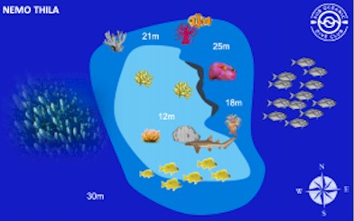 Nemo Thila